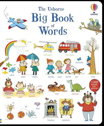 Usborne Big Book of Words