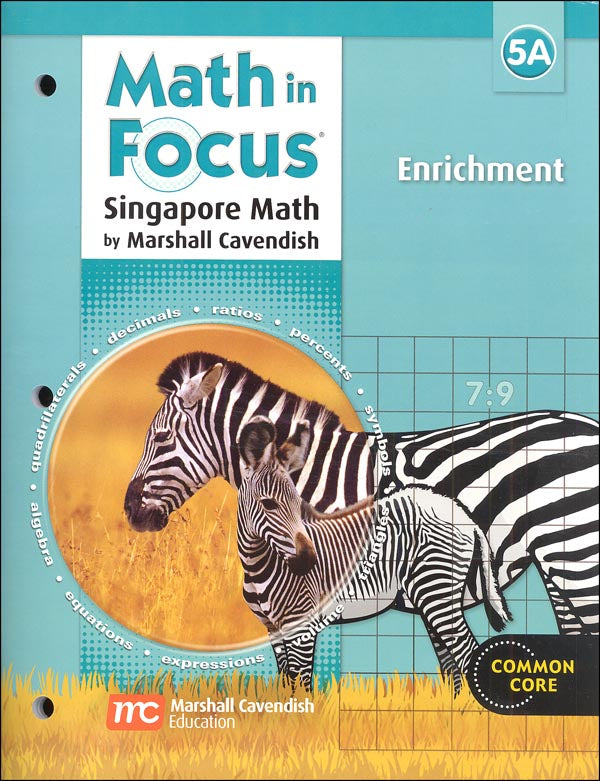 Math in Focus 5A Enrichment (Clearance)