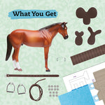 Klutz: Wild About Horses