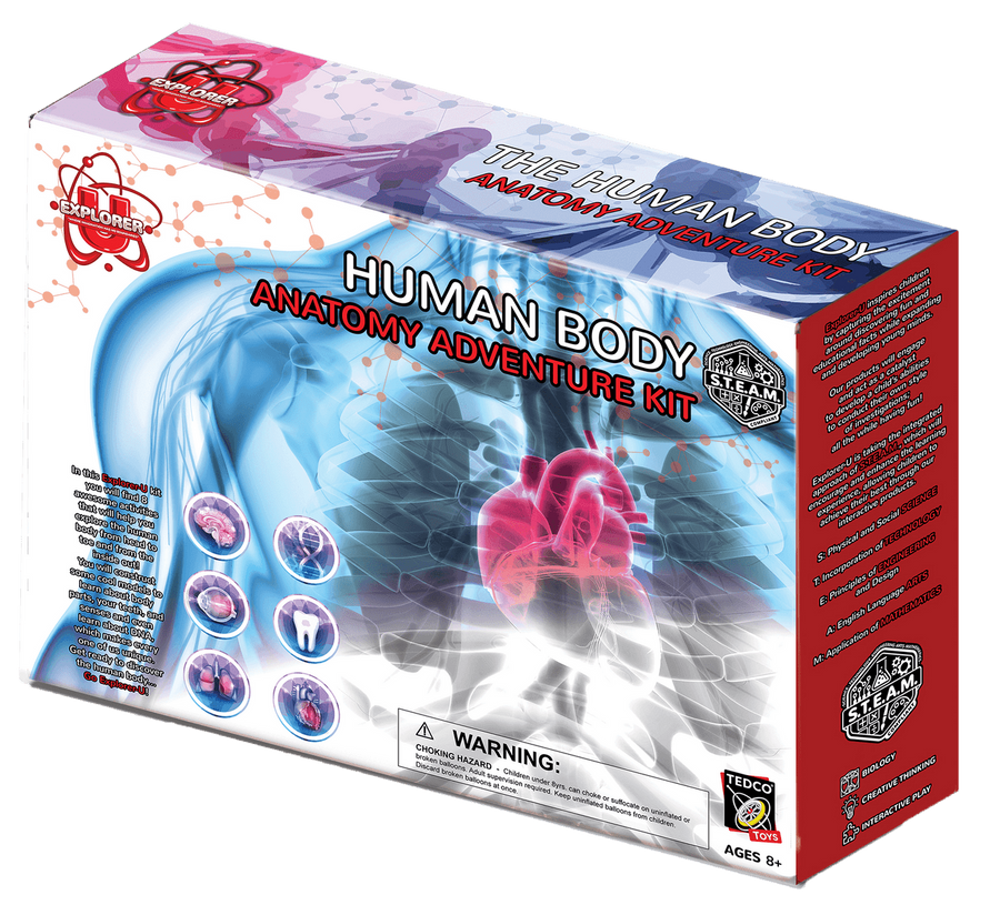 Human Body Science Kit