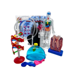 Human Body Science Kit