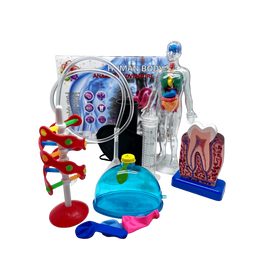 Human Body Science Kit