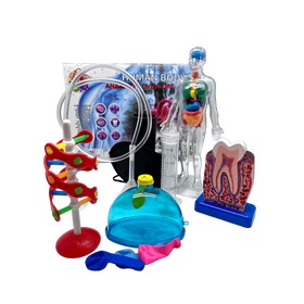 Human Body Science Kit