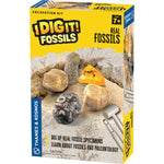 I Dig It! Fossils - Real Fossils Excavation Kit