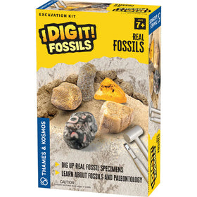 I Dig It! Fossils - Real Fossils Excavation Kit