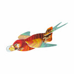 Build-a-Bird Kit