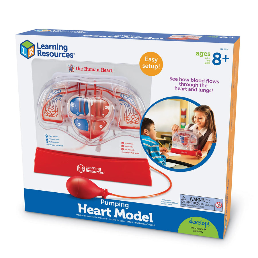 Pumping Heart Model