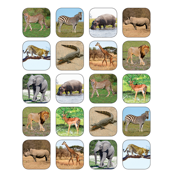 Safari Animals Stickers (Teacher Created Resources)