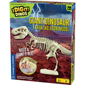Giant Dinosaur Skeleton Kit