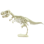 Giant Dinosaur Skeleton Kit