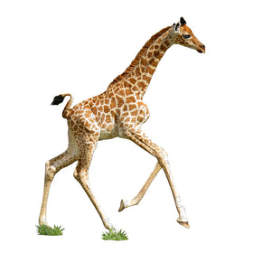 I AM LiL' GIRAFFE PUZZLE (100 Pieces)