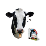 I AM COW PUZZLE (300 Pieces)