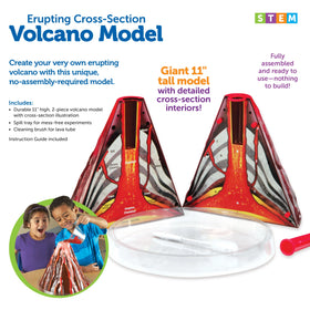 Erupting Cross-Section Volcano Model