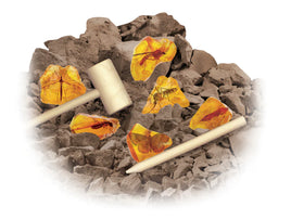 Smithsonian Amber Dig