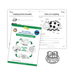 Original Ladybug Land with Voucher