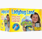 Original Ladybug Land with Voucher