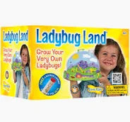 Original Ladybug Land™ with Voucher