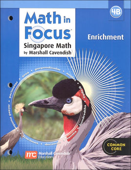 Math in Focus 4B Enrichment (Clearance)