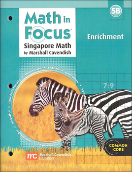 Math in Focus 5B Enrichment (Clearance)