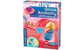 Gross Anatomy by Thames & Kosmos
