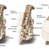 UGears The Hurdy-Gurdy Wooden 3D puzzle and Musical Instrument