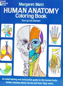 Human Anatomy Color Book