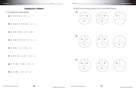 Singapore Math Challenge 5+  (Clearance - Limited Quantities)