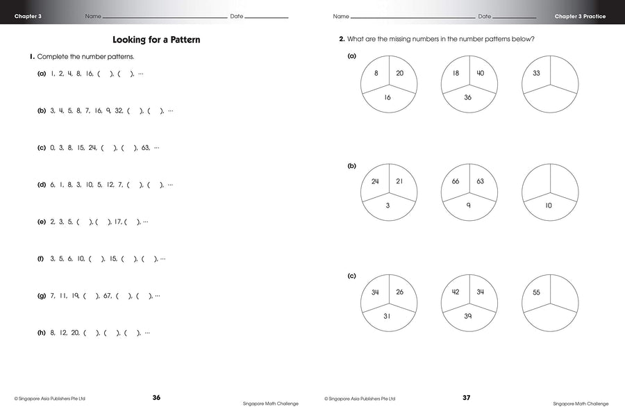Singapore Math Challenge 5+  (Clearance - Limited Quantities)