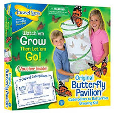 Butterfly Pavillion Kit