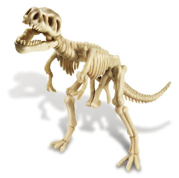 Roll over image to zoom in Kidz Lab T Rex Dino Dig Excavation Kit by Toysmith