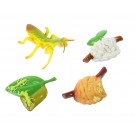 Praying Mantis Life Cycle Stages