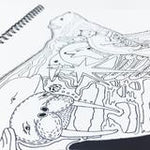 Polar Critters Coloring Book - Earth Art International