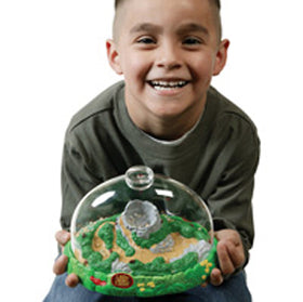 Ladybug Land Metamorphosis Kit