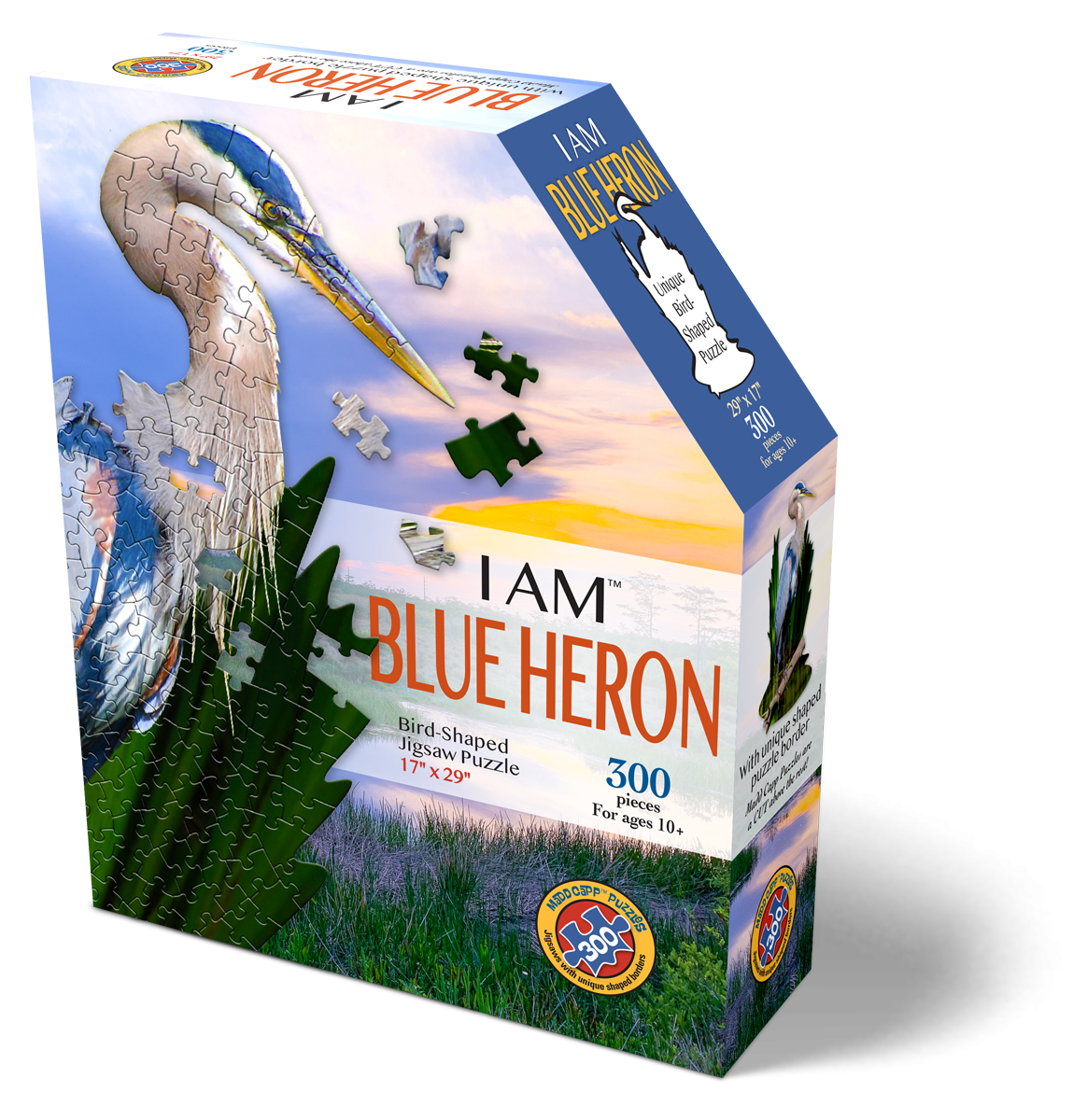 I AM BLUE HERON 300