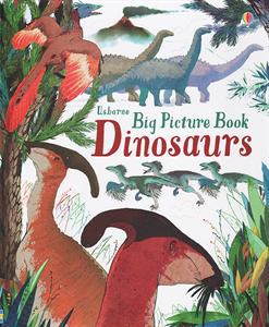 Usborne Big Picture Book Dinosaurs