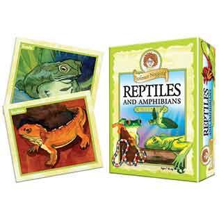 Professor Noggin's Reptiles and Amphibians Card Game
