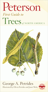 Peterson First Guide to Trees of North America