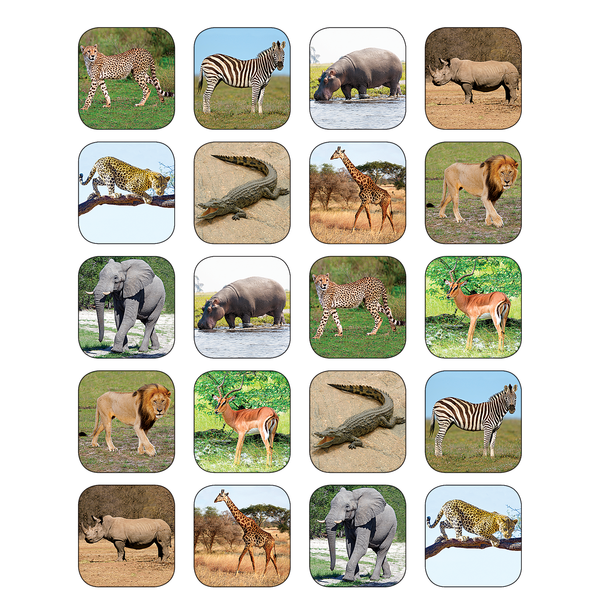 Safari Animals Stickers-Teacher Created Resources