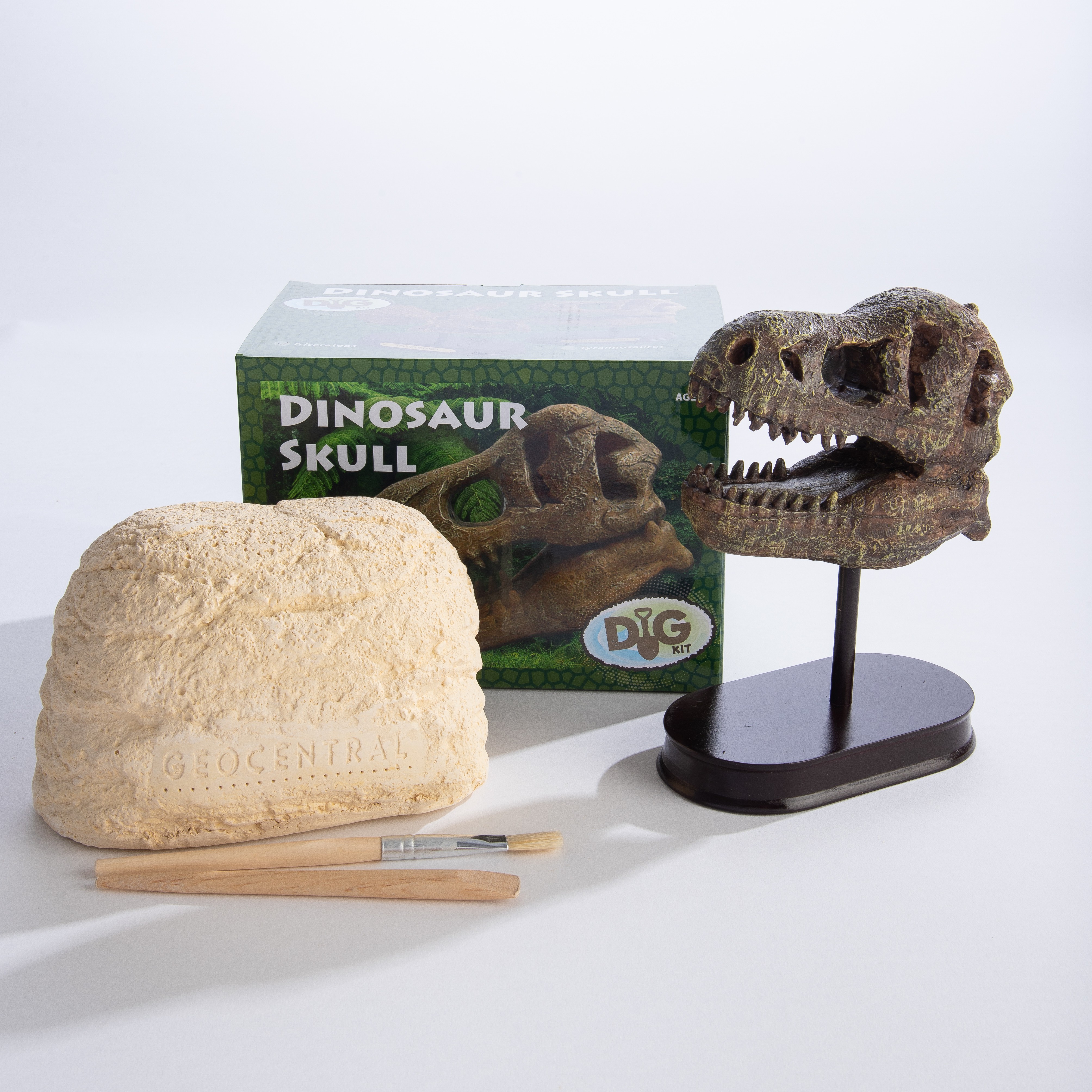 Excavation Kit: Dinosaur Skull GeoCentral