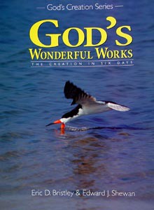 God's Wonderful Works Grade 2