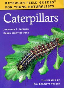 Peterson Field... Caterpillars