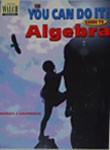 The You Can Do It! Guide to Algebra