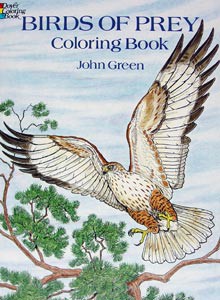 Birds of Prey Coloring Book