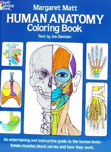 Human Anatomy Color Book
