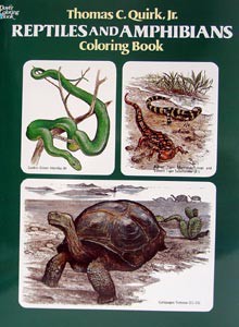 Reptiles & Amphibians Coloring Book