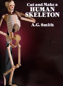 Cut & Make a Human Skeleton