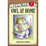 Owl at Home Level 2 Reader