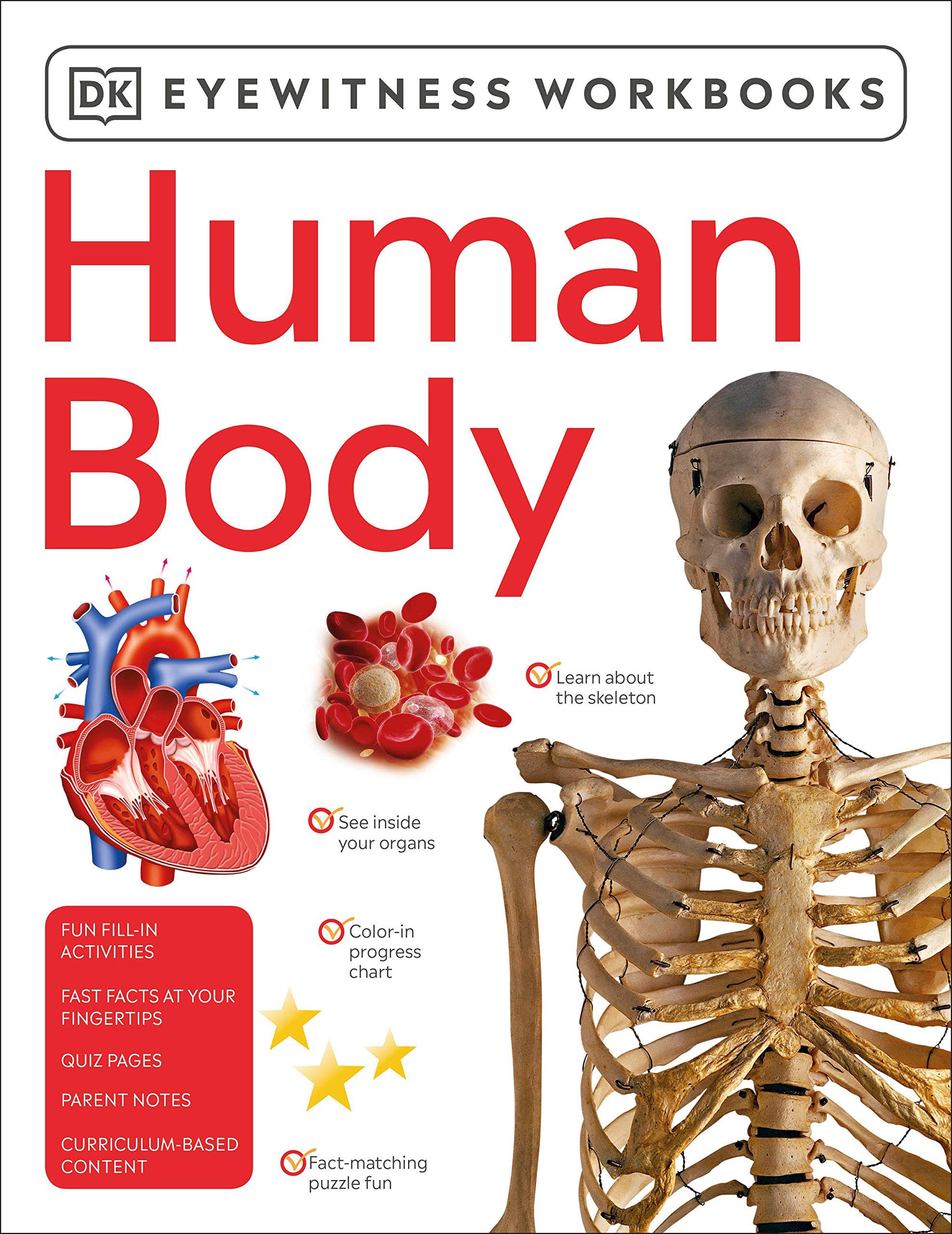 Eyewitness Human Body Workbook - Penguin
