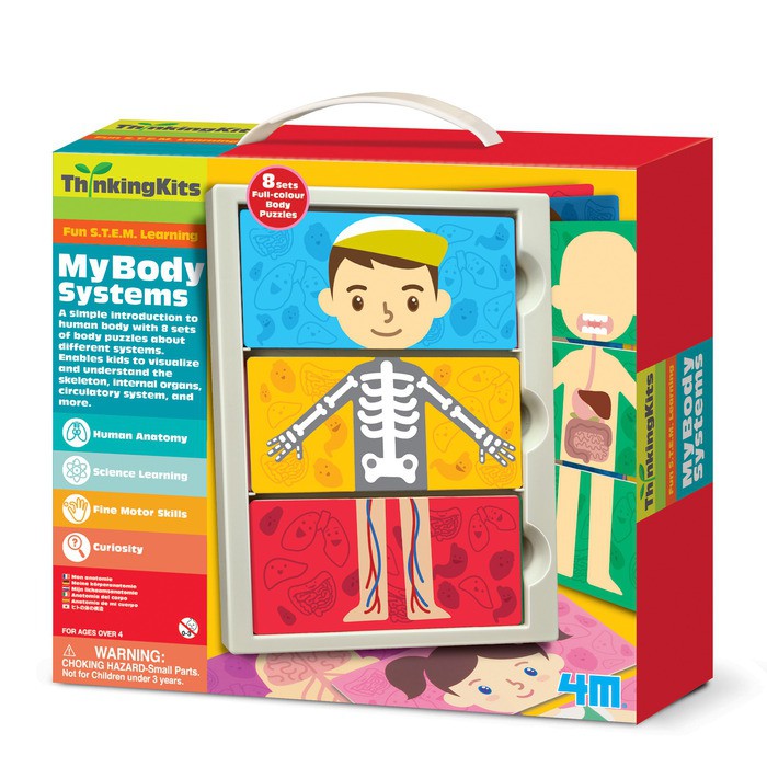 My Body Systems Anatomy Kit