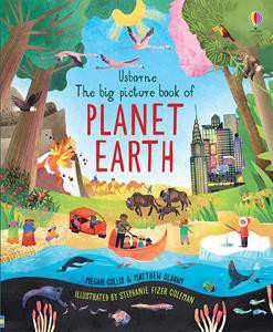 Usborne Big Picture Book of Planet Earth, The (IR) 